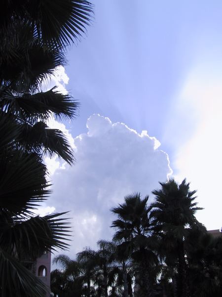 115-1524_img.jpg