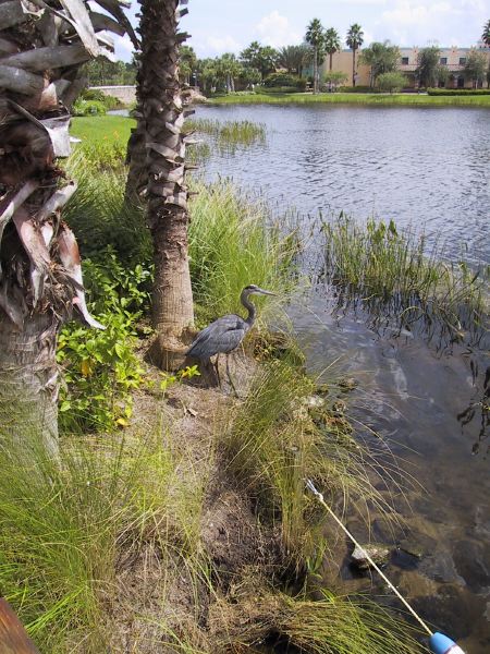 115-1567_img.jpg
