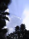 115-1524_IMG.JPG