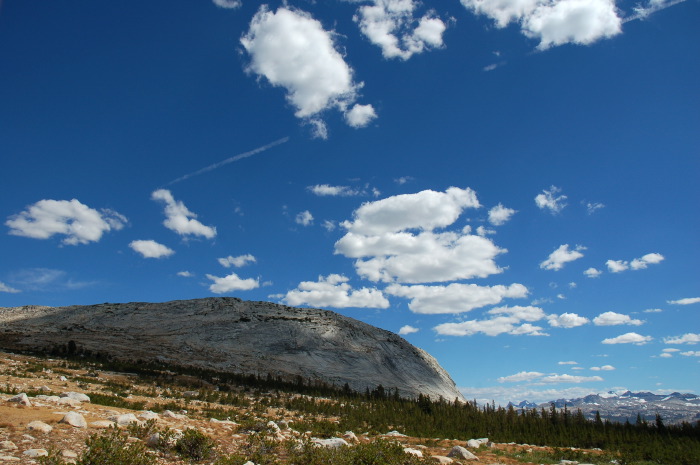 DSC_2184.jpg