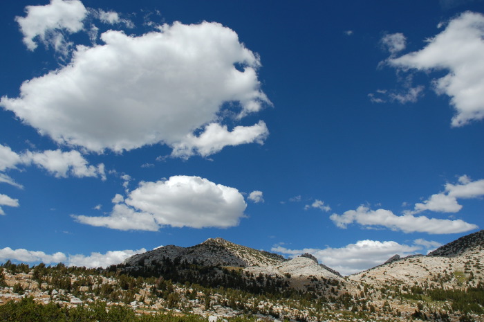 DSC_2187.jpg