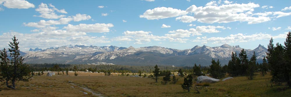 DSC_2193.jpg