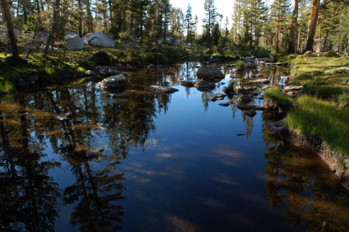 DSC_2361.jpg