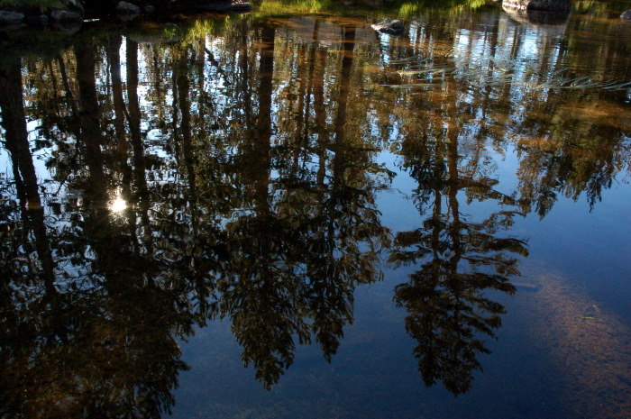DSC_2363.jpg