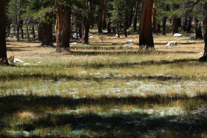 DSC_2406.jpg