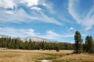 DSC_2169.jpg