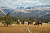 DSC_2197.jpg