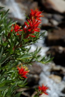 DSC_2241.jpg