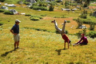 DSC_2334.jpg