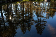 DSC_2363.jpg