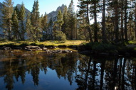DSC_2364.jpg