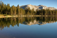 DSC_2378.jpg