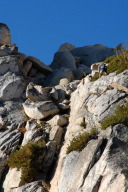 DSC_2390.jpg