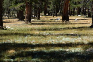 DSC_2406.jpg