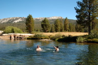 DSC_2427.jpg